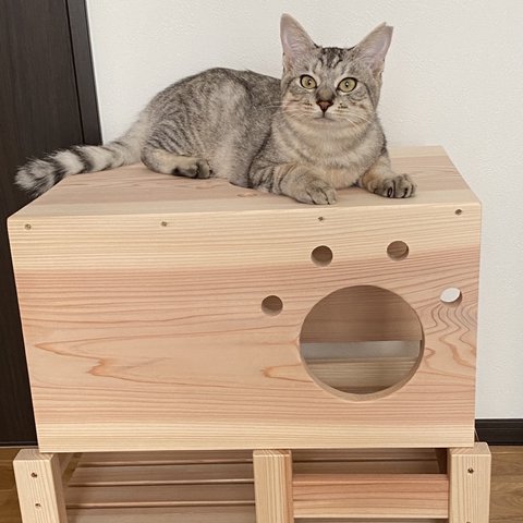 猫ちゃんトンネル付き動物用ベッドNo.2