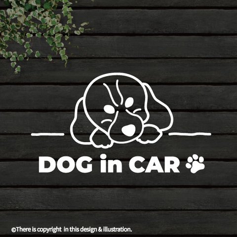 DOG IN CAR/キャバリア/B【カッティングステッカー】手書きわんこシリーズ