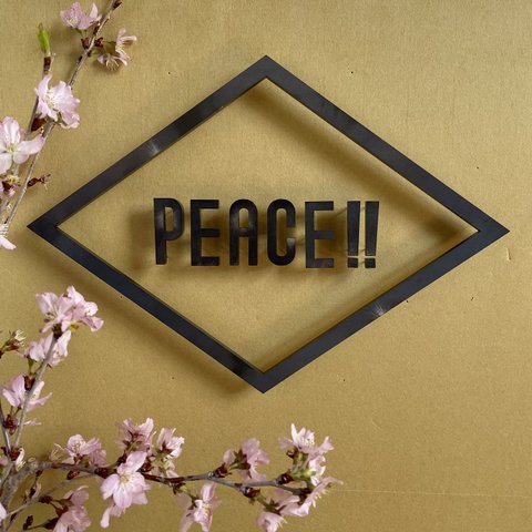 IRON ROGOPIN アイアンロゴピン「PEACE‼︎」菱形枠