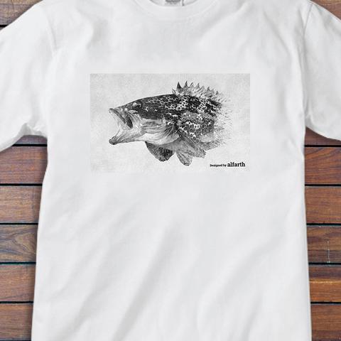 Tシャツ　魚　tシャツ　キジハタ　アコウ　ロックフィッシュ