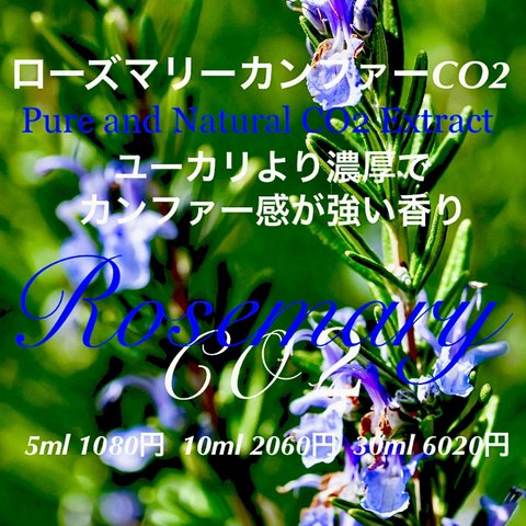 【ユーカリ様の強い香り】ローズマリーカンファーCO2エクストラクト5ml