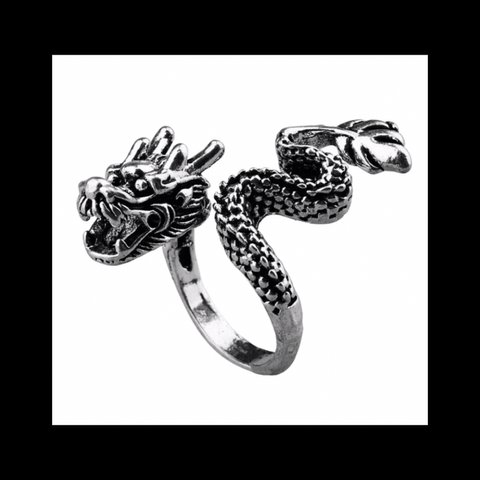 【Dragon_solid RING】龍 ドラゴン アンティーク ピープス ダーク  パンク ロック メンズ 個性的 病みかわいい ヴィンテージ ゴシック 闇 シルバー 指輪