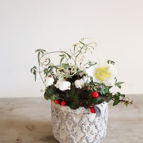 【1点もの】すずらん咲きシクラメンとクリスマスローズのアンティーク風陶器ギャザリング