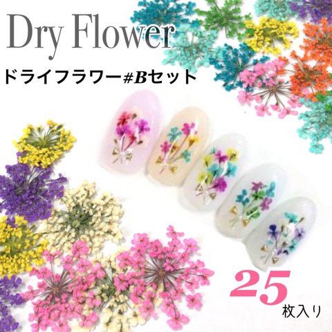 Bセット:新色入荷  ❁﻿ネイル 押し花 ドライフラワー かすみ草  セット レース 小花 レジン 埋め込み