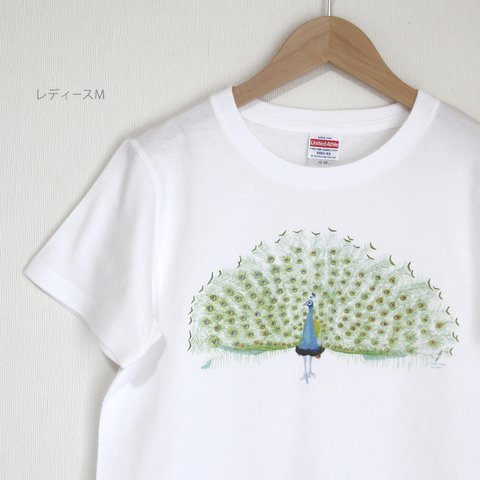 p-jet　孔雀 Tシャツ　/ 鳥　クジャク 