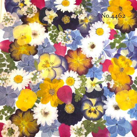 ♡new♡作家様必見♡押し花MIXセット♡押し花セット