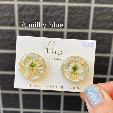 Shell × euphorbia ピアス/イヤリング