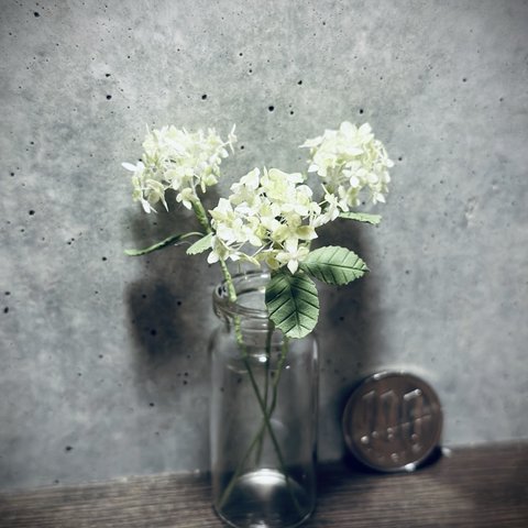 紫陽花(ライトグリーン)