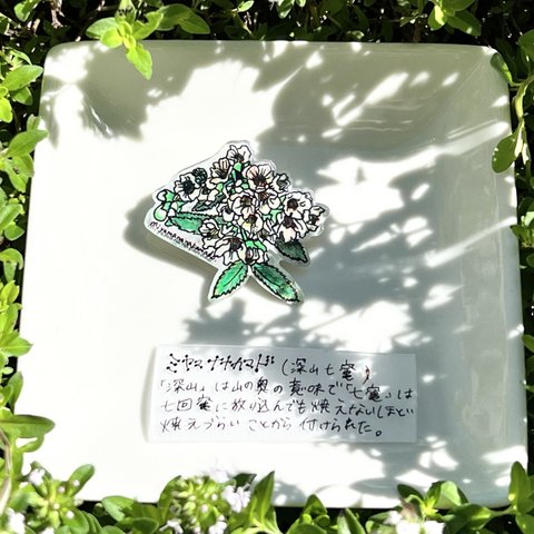 高山植物【ミヤマナナカマド】ブローチ