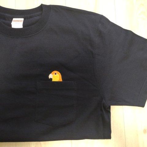 とりさんひょっこりTシャツ　シロハラインコ