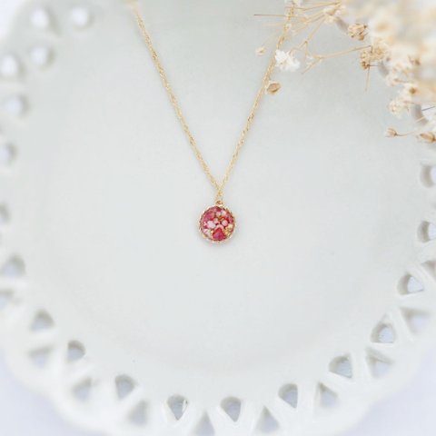 circle necklace .° 赤いスターチス