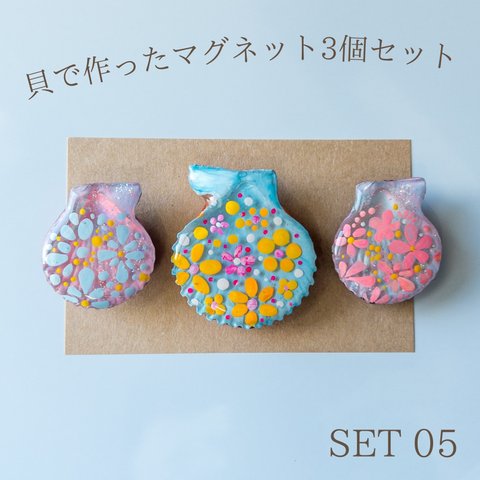 【3個セット】本物の貝で作ったマグネット SET 05