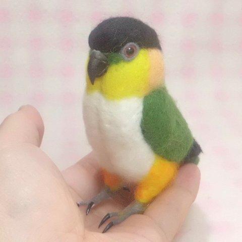 ズグロシロハラインコ mini♪☆足付タイプ(付属金具無し） 羊毛フェルト 鳥のオブジェ リアルバード 受注制作