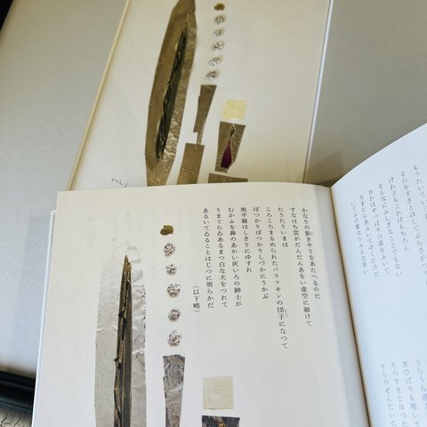 押し花　額　花と言葉の詩画集　宮沢賢治（ポプラ社刊） 「真空溶媒」　