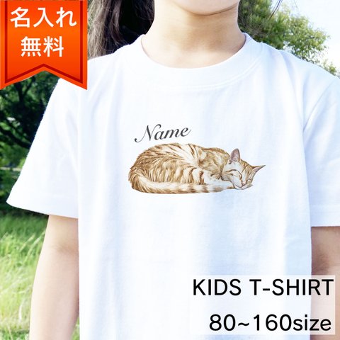 【名入れ無料】茶トラ猫 の キッズ&ベビー Tシャツ / 猫好きさんへのギフトに 選ばれている大人気商品です！ラッピングできます！