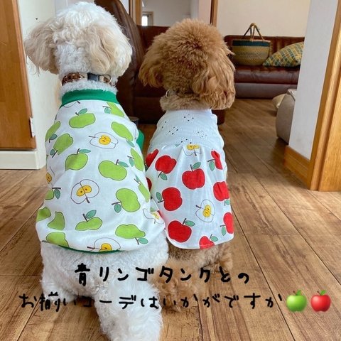 犬服！レースニットと赤リンゴのワンピ☆XS.S.M