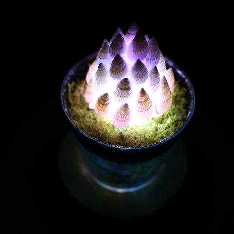 Healing lamp 巻貝の塔 ver.2