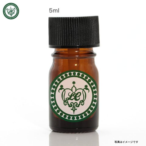 バニラ Abs 5ml 30%無水エタノール入り