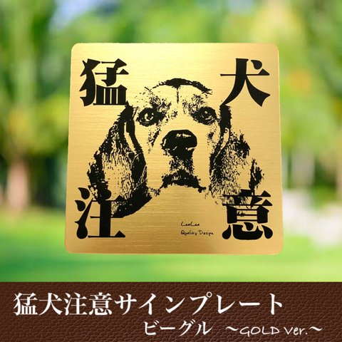 【送料無料】猛犬注意サインプレート(ビーグル)GOLDアクリルプレート