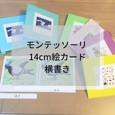 ☆モンテッソーリ☆14センチ絵カード
