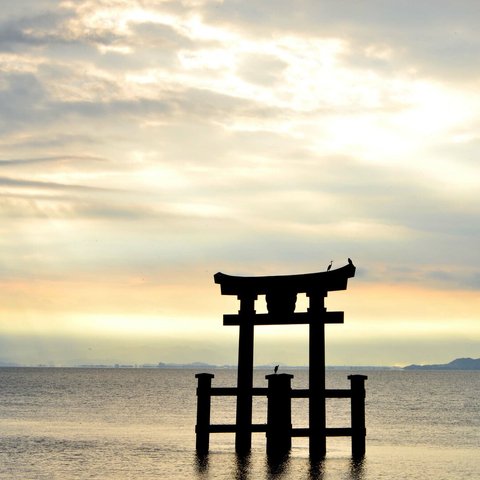 Ａ4　写真　プリント　白髭神社