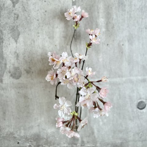 母の日プレゼント♡いつまでも美しい桜のマジカルウォーター壁掛け