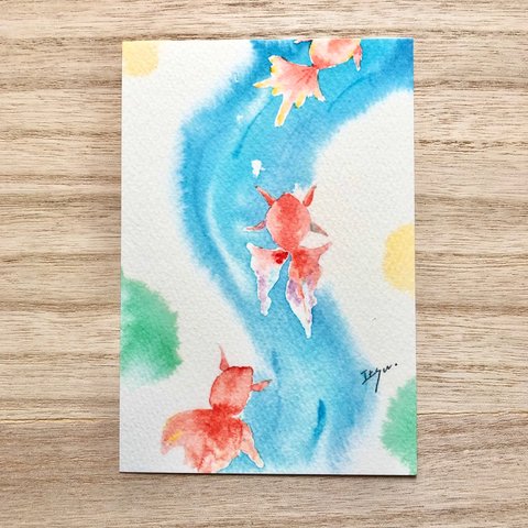 透明水彩画「涼やかな金魚たち」イラストポストカード２枚セット 暑中見舞いはがき 暑中はがき　母の日　父の日　魚