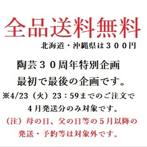 全品送料無料企画！！（北海道・沖縄県は300円）