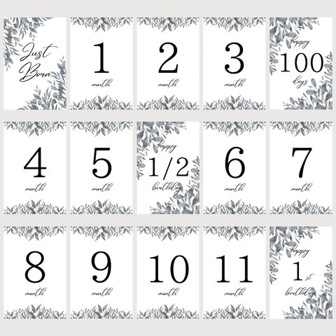 月齢カード　マンスリーカード　はがきサイズ　ナチュラル　ボタニカル　15枚セット