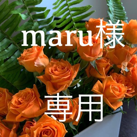 maru様専用ページです。