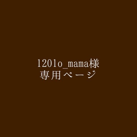 専用ページ♡検診記録追加台紙10枚