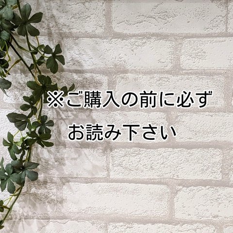 ★★ご購入前に必ずお読み下さい★★