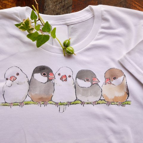 ふんわり文鳥 Tシャツ