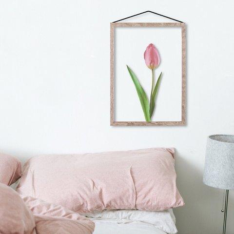 Pink Tulip / C019 / 透明ポスター