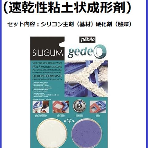 シリガム（速乾性粘土状成形剤）100ｇ　型取り剤/レジン