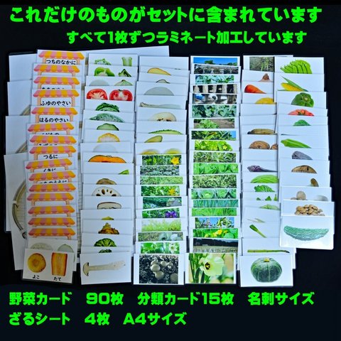 野菜カードセット(30種類）　小学校受験にも　生活科の学習にも