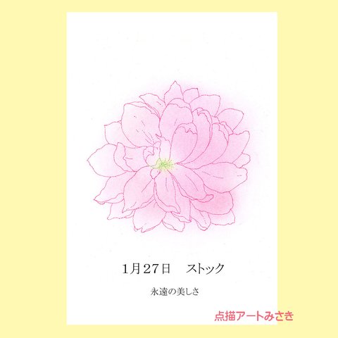 1月27日誕生花カード（花言葉つき）点描画