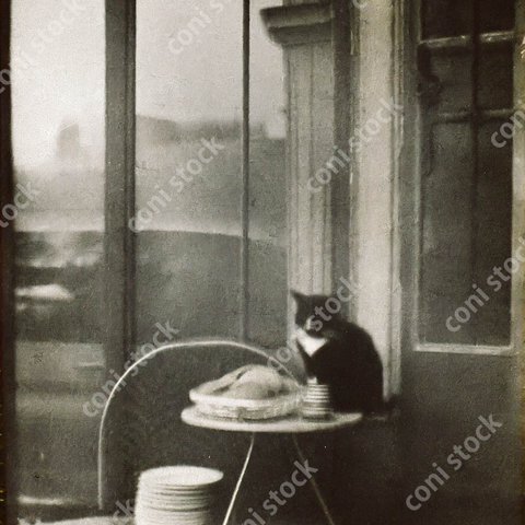 パリの田舎町の小さなカフェにいる猫のイメージ、レトロ、モノクロ、アート、古びた写真　conistock_54961.jpg