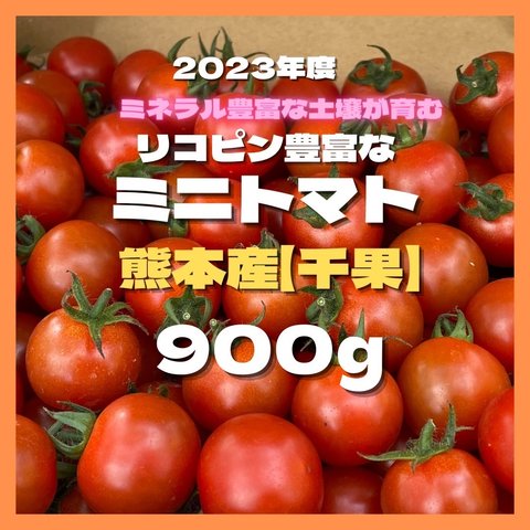 ミニトマト　900g 野菜　熊本産　弁当　ミネラル　リコピン　産地直送　おかず