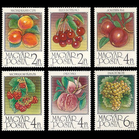 フルーツ ハンガリー 1986年 外国切手6種 未使用【果物 古切手素材】