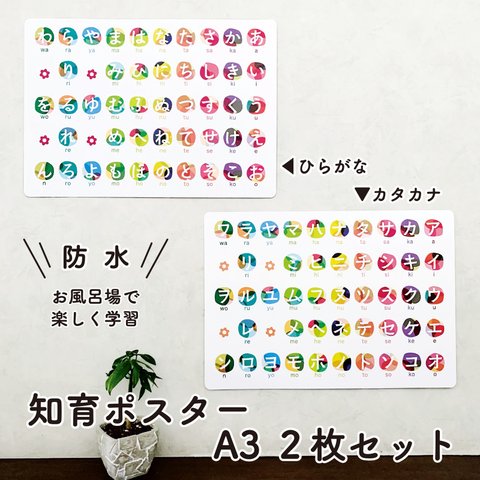 【防水】知育ポスター＊ひらがなカタカナ2枚セット