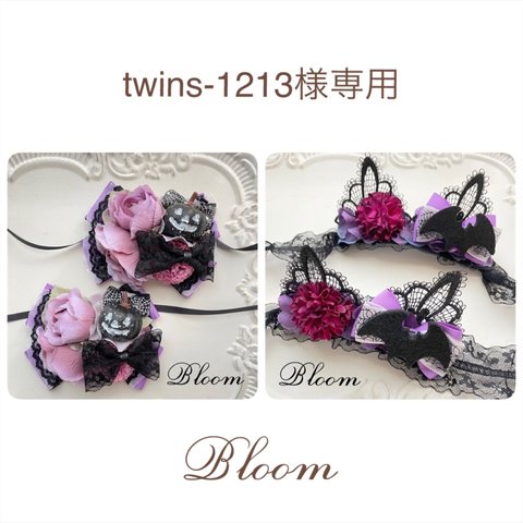 twins-1213様専用ページ