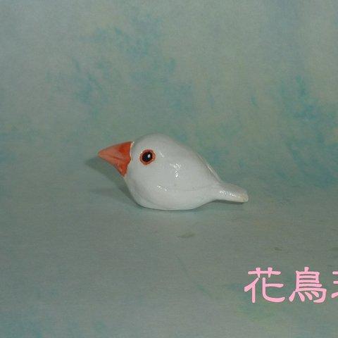 ●豆鳥シリーズ●白文鳥