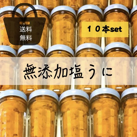 無添加塩うに１０本セット