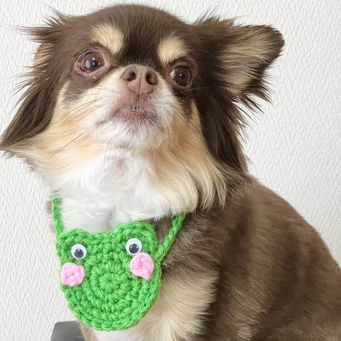 犬用＆猫用  カエルさんポシェット🐸💕 梅雨 アクセサリー