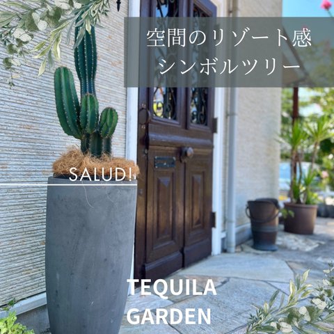 大型観葉植物 柱サボテン ブランチ ラウンドハイプランターセット　グレー TEQUILA GARDEN  テキーラガーデン ドライガーデン 特大サイズ 高品質 プランター 鉢 贈答用　鉢