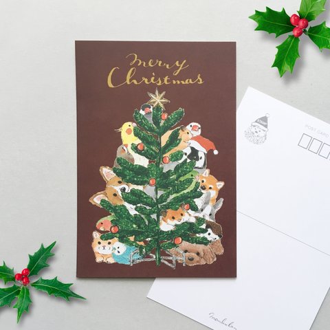クリスマスカード☆ひょっこりツリー