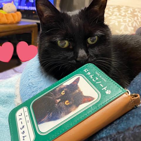 お好きな写真で！オリジナルノート風コインケース  うちの子 猫 犬 コーギー ペット コインケース