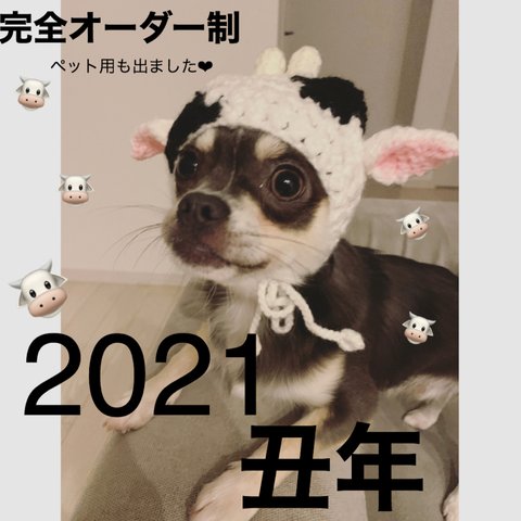 ペット用2021 丑年帽子🐮