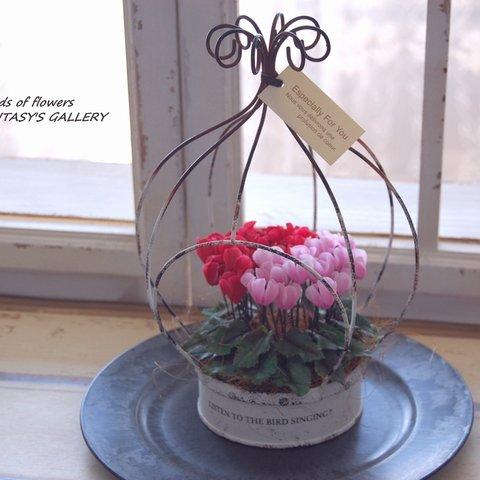 ◆粘土のお花◆ 小さなシクラメン　クラウンプランター…　S615